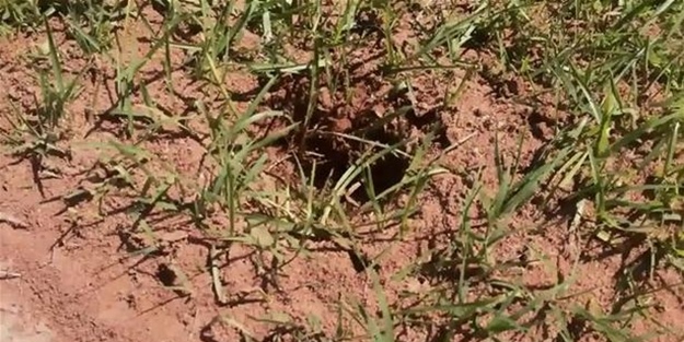 Eritilmiş alüminyumu karınca yuvasına döktü!