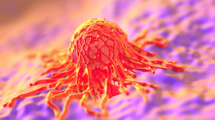 Erkeklerde en sık o hastalık görülüyor