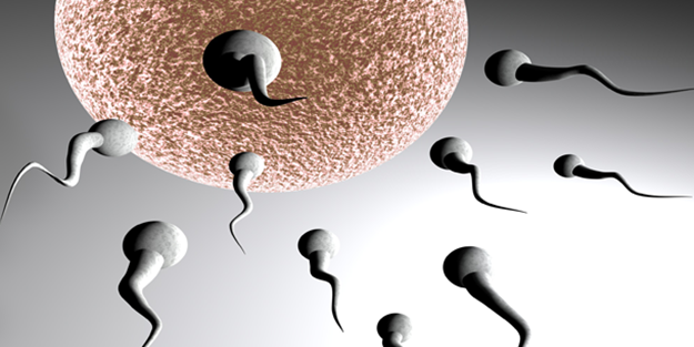 Erkeklerde kısırlık oranı giderek artıyor