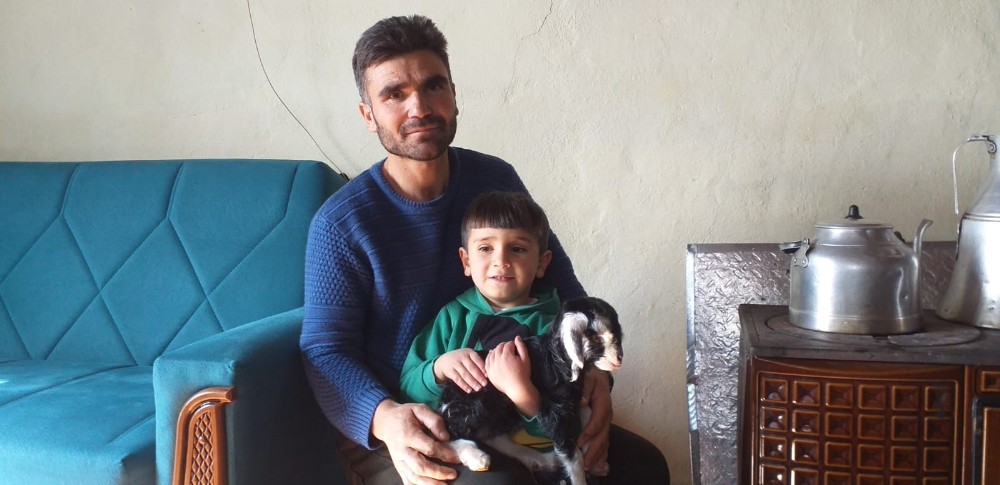 Erken doğan keçi yavrusu evde biberonla besleniyor 