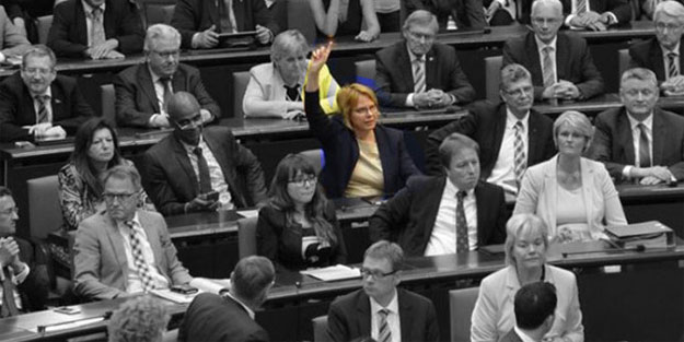 Tek ret oyu veren Alman vekil konuştu