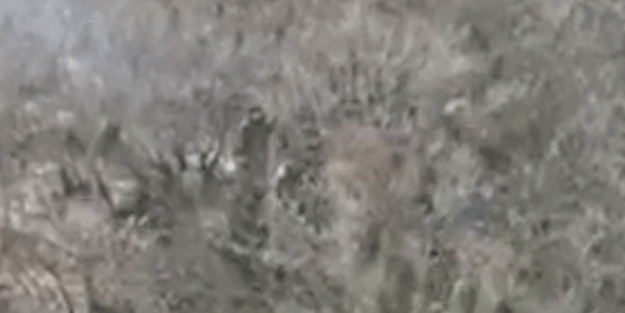 Ermeni İHA'sı şoku yaşadı! Burun buruna geldiler