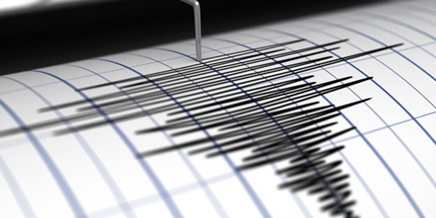 Ermenistan'daki deprem Iğdır'da hissedildi