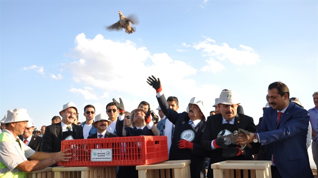 Eroğlu: 250 kınalı keklik saldılar