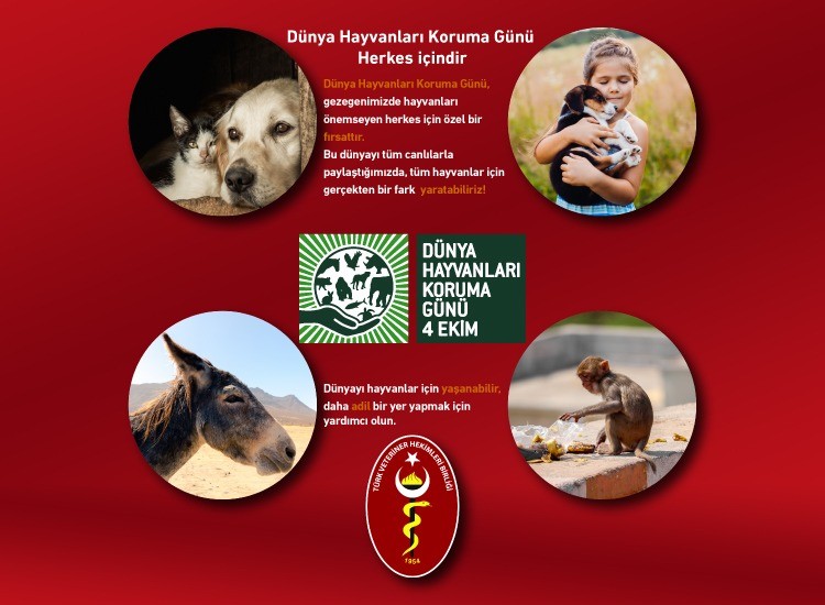Eroğlu’ndan “4 Ekim Dünya Hayvanları Koruma Günü”ne ilişkin çarpıcı açıklamalar!