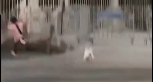 Erol Köse’nin kızı Dijan Köse’nin skandal görüntüleri! Çocuk korkudan denize atladı