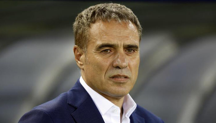 Ersun Yanal'dan Fenerbahçe açıklaması