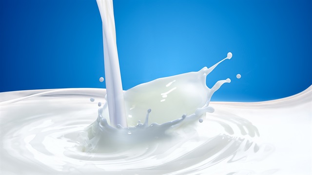 Ertürk: Süte zam geliyor