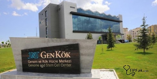 Ülkemizde yumurtalık kanserine karşı antikor üretildi!