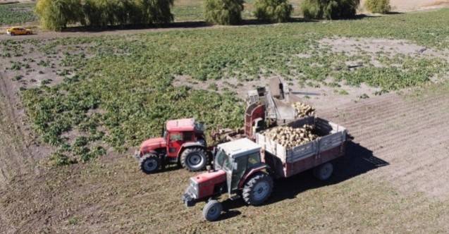 Erzincan’da 300 bin ton şeker pancarı rekoltesi bekleniyor
