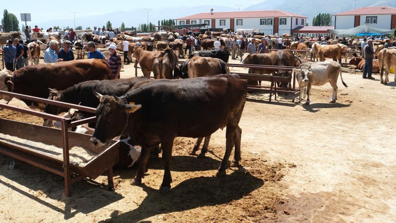 Erzincan’da ‘34 köyde karantina’