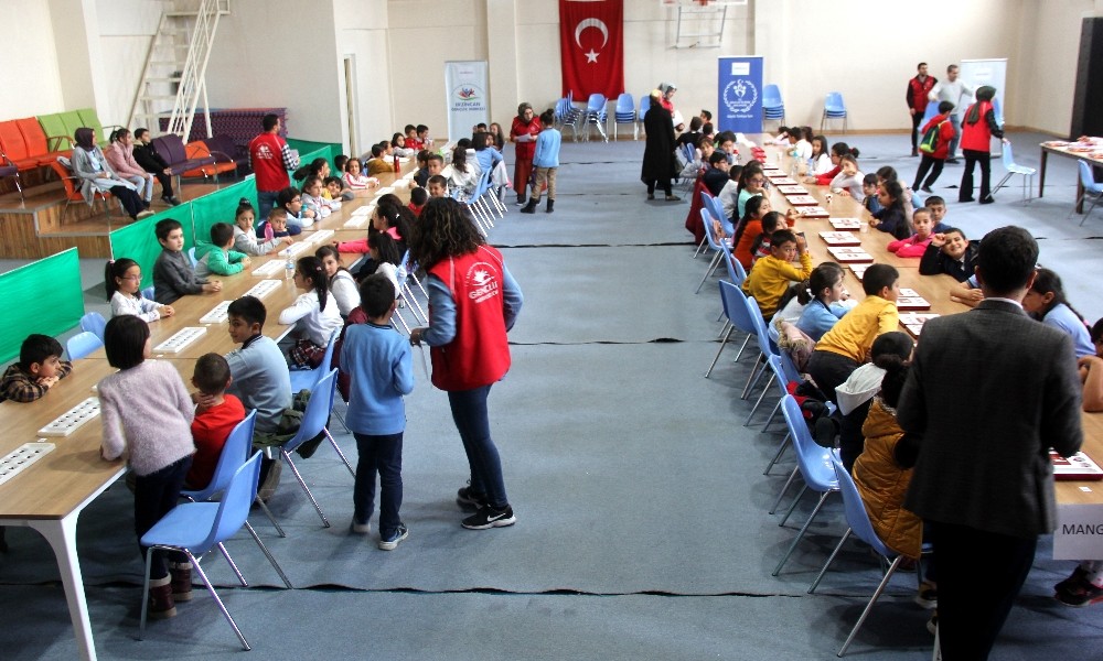 Erzincan’da Akıl ve Zeka Oyunları İl Turnuvası yapıldı 