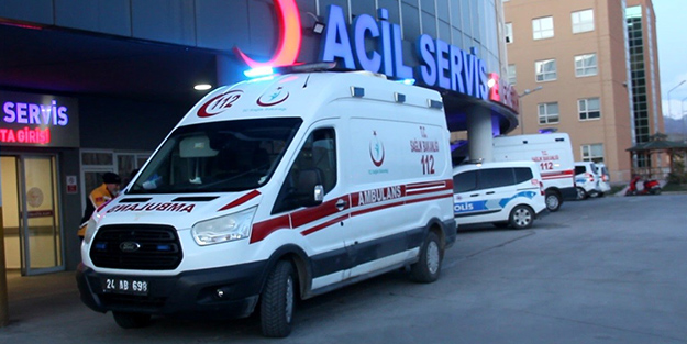 Erzincan'da ayı saldırısı: 1 yaralı