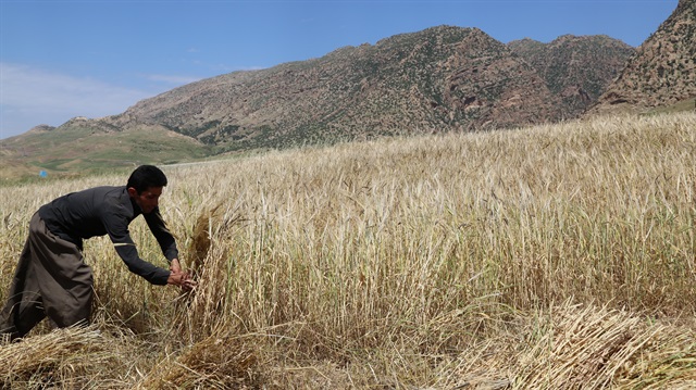 Erzincan’da boş duran tarlalar para basacak