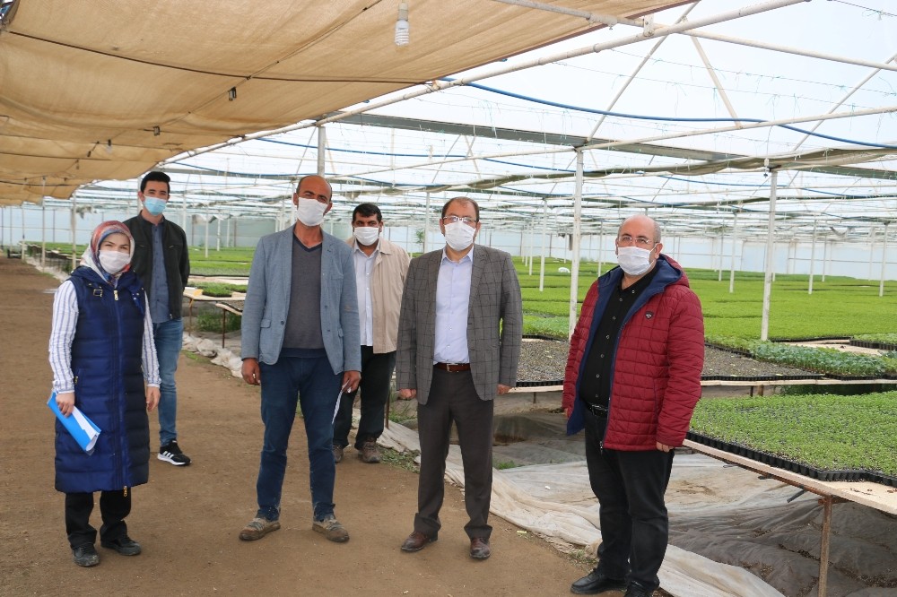 Erzincan’da fide üretim ve satışı son hızla devam ediyor 