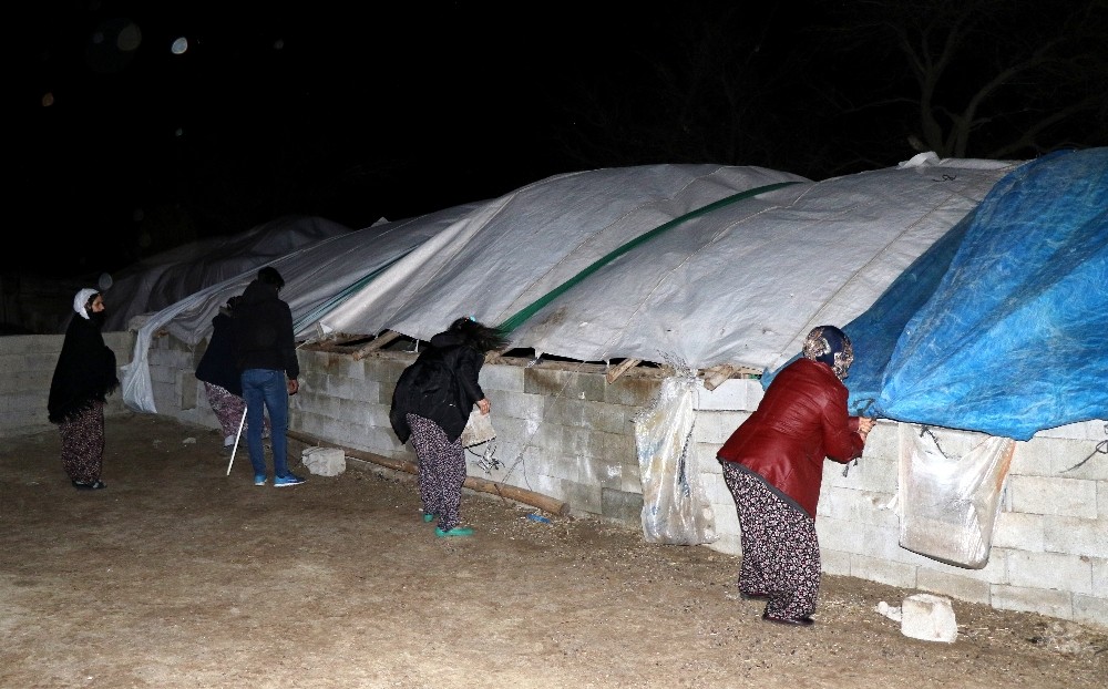 Erzincan’da fırtına çatıları uçurdu, ağaçları kökünden söktü 