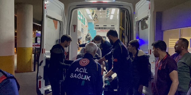 Erzincan'da hayvan otlatma kavgası: 1 yaralı