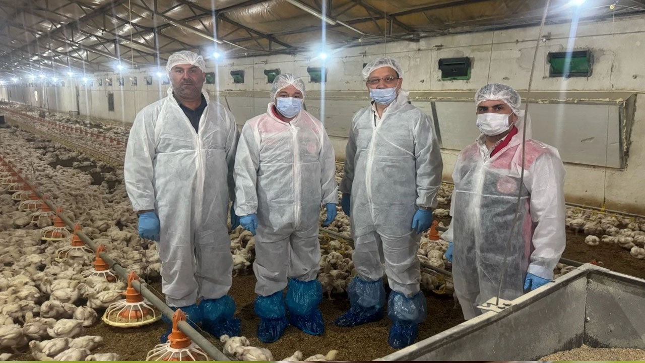 Erzincan’da ihraç ediliyor! Talep yağıyor