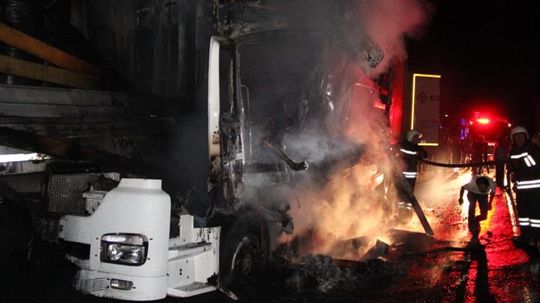 Erzincan'da katliam gibi kaza: 1 kişi öldü, 40 hayvan telef oldu