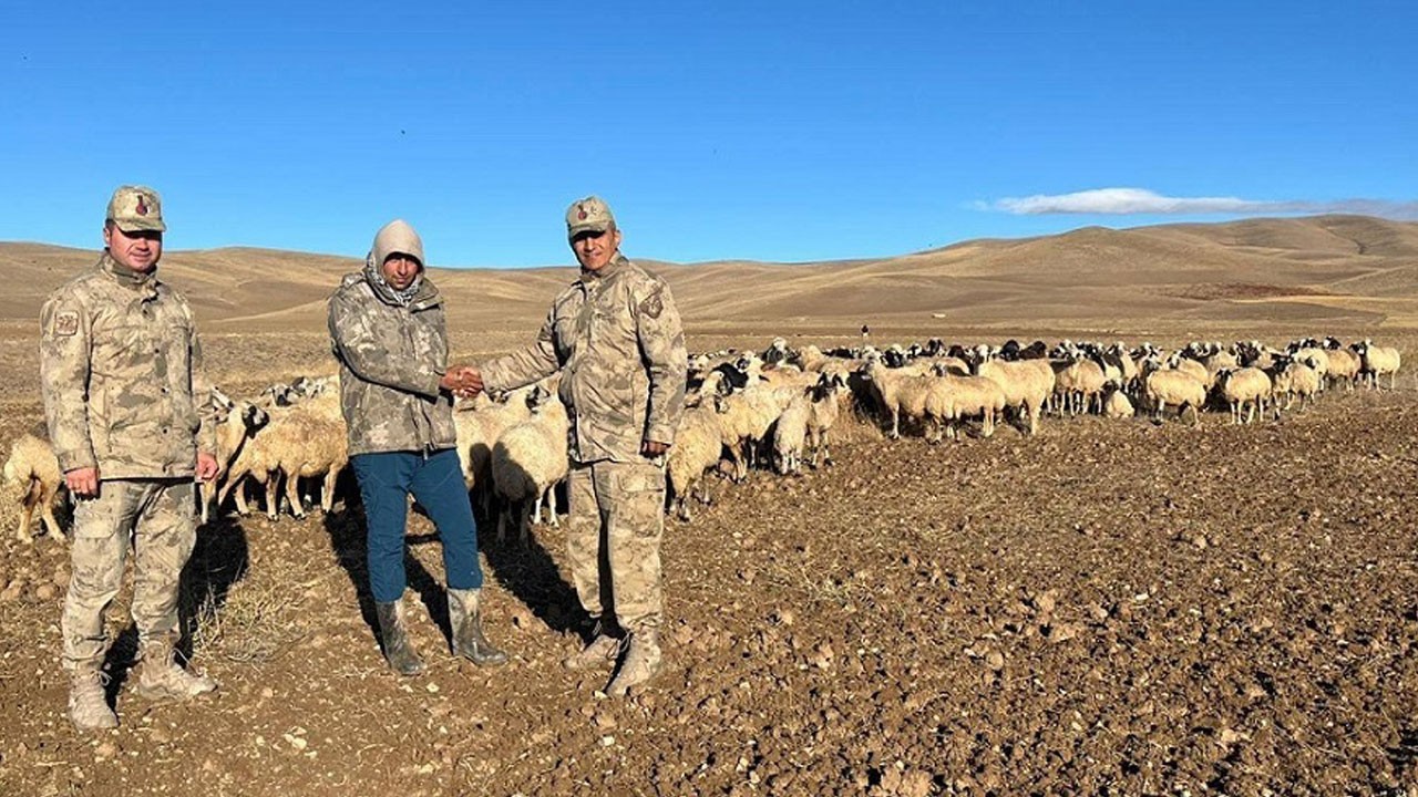 Erzincan’da kaybolan 300 koyunu Jandarmanın İHA’sı buldu