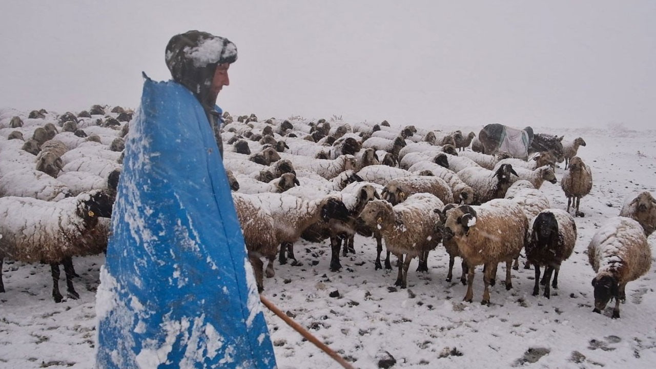 Erzincan’da kış erken geldi! Göçerler yaylada mahsur kaldı
