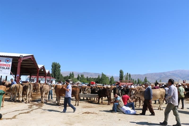 Erzincan’da kurbanlık hayvan satış yerleri denetlendi 