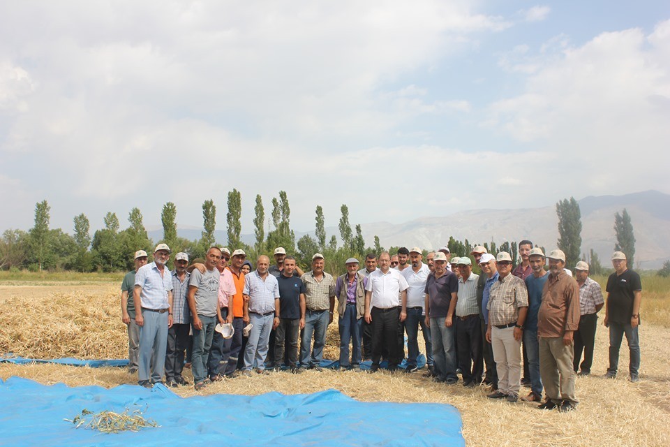 Erzincan’da kuru fasulye çeşidinin demonstrasyon hasadı yapıldı 