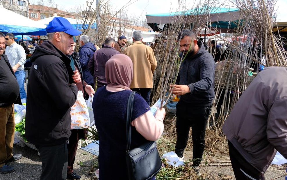 Erzincan'da meyve fidanı satışı başladı