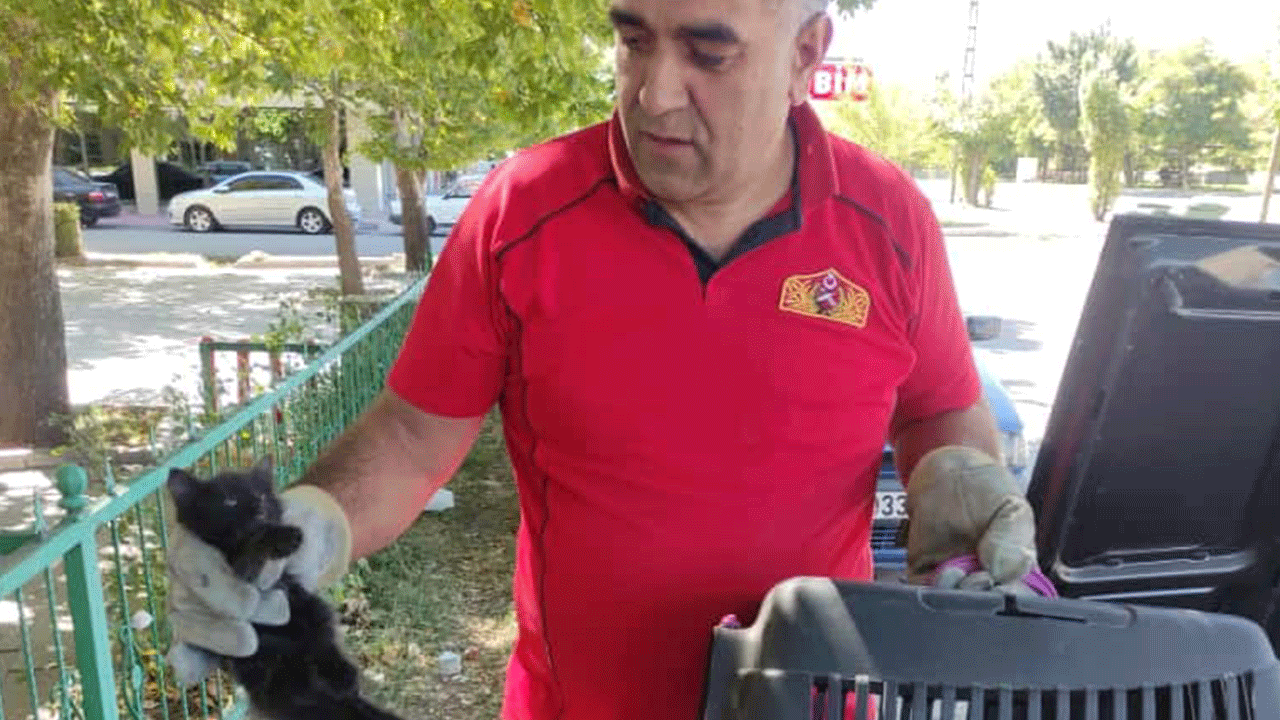 Erzincan’da otomobilin kaputuna sıkışan yavru kedi kurtarıldı