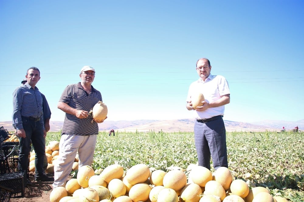 Erzincan’da tarım sektörüne yatırımlar büyük bir ivme kazanmaya başladı 