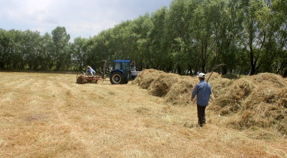 Erzincan’da vatandaşların kış hazırlığı 