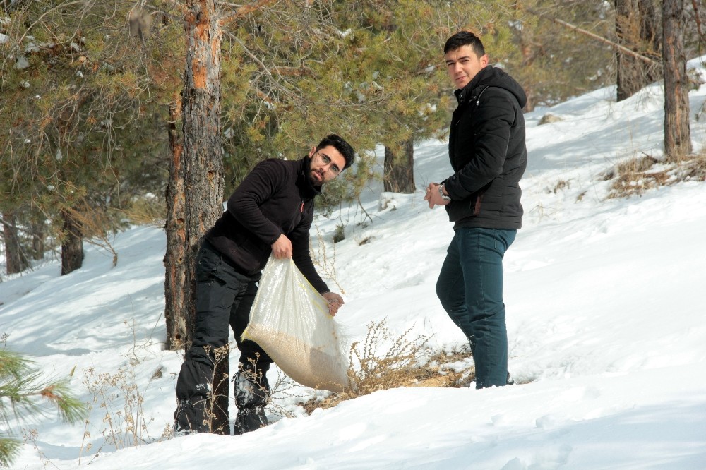 Erzincan’da yaban hayatına yem desteği 