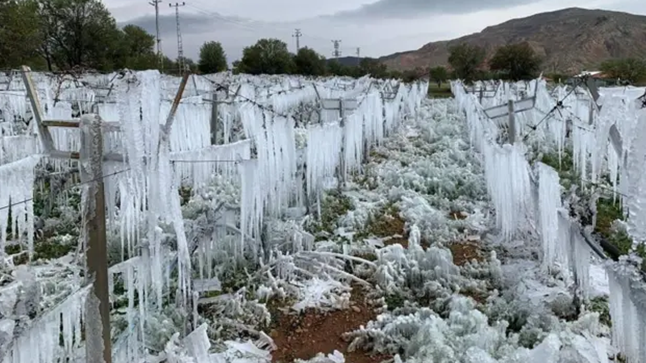 Erzincan'da zirai don uyarısı