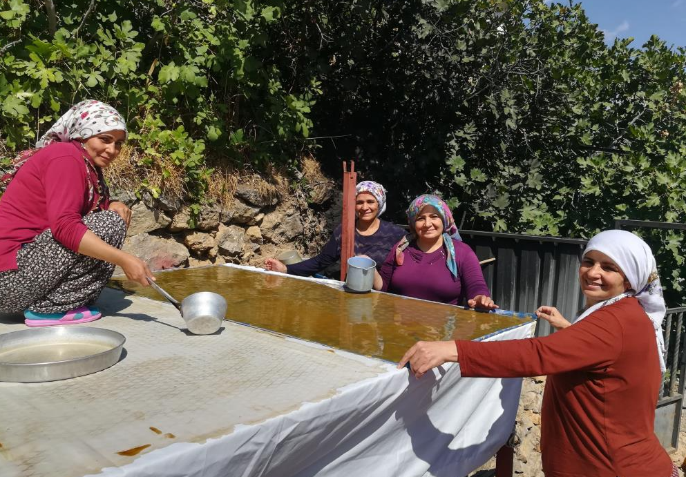 Erzincanlı kadınlar pestil yapmaya başladı