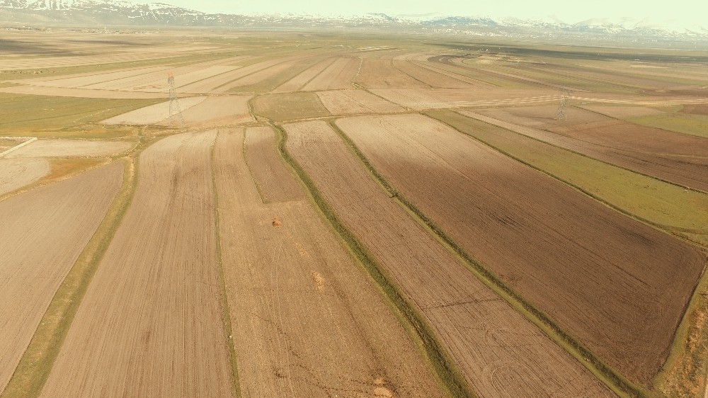 Erzurum, Ağrı ve Erzincan’da toplulaştırma çalışmaları devam ediyor 
