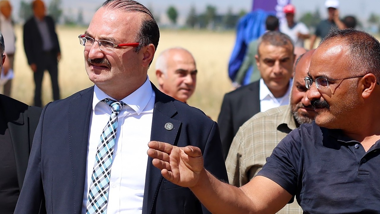 Erzurum Ovası’nda buğday hasadı törenle başladı