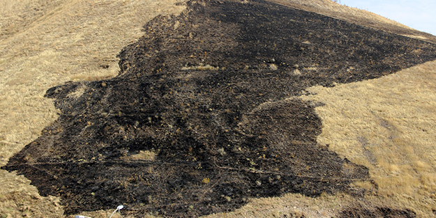 Erzurum Valiliği'nden yangın açıklaması