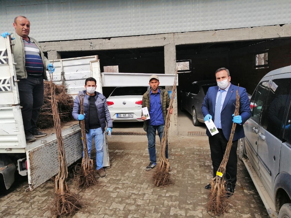Erzurum’da 1293 çiftçiye ‘Yazlık Buğday Tohumu’ desteği yapıldı 