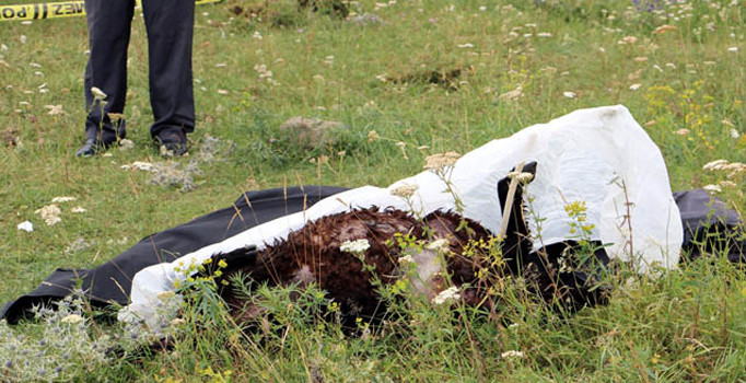 Erzurum’da çobanlık yapan lise öğrencisi, yıldırım düşmesi sonucu hayatını kaybetti