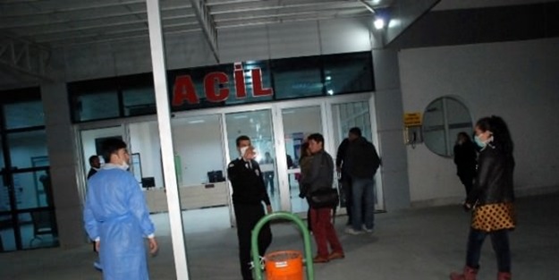 Erzurum'da domuz gribi şoku: 3 ölü!