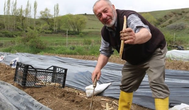 Erzurum'da emekli olup köye döndü! Kilosunu 10 TL'den satıyor