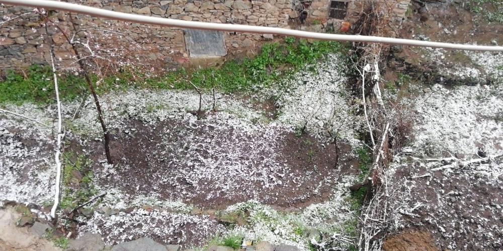 Erzurum’da kar sürprizi 