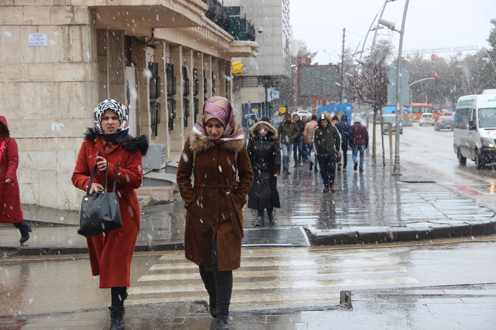 Erzurum’da kar yağışı etkili oluyor 