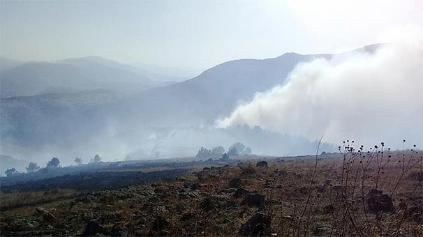 Erzurum'da orman yangını çıktı