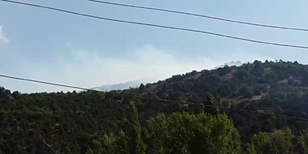 Erzurum'da orman yangını