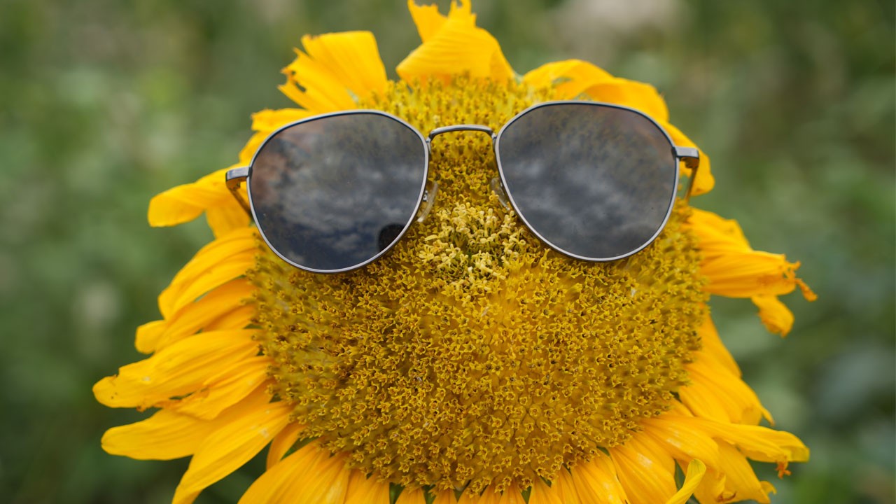 Erzurum'da şölen! Güneşi kıskandıran manzara