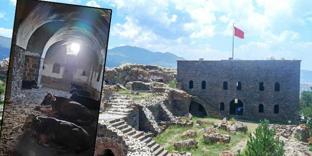 Erzurum'da tarihi eser ahır oldu! Valilik'ten açıklama geldi