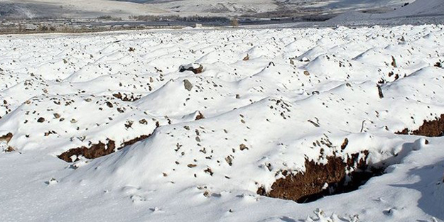 Erzurum'da toplu mezar! Tam 600 tane...