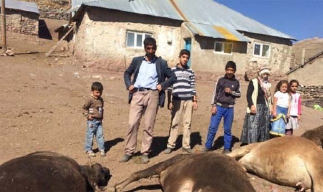 Erzurum'da yangın çıktı inekler telef oldu