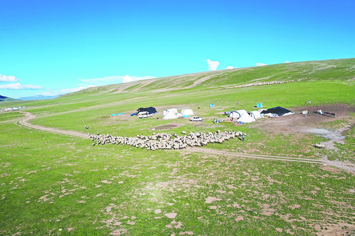 Erzurum’un karlı yaylaları göçer aileleri ağırlıyor